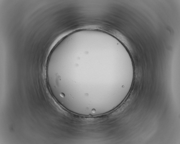 X0000113091436200909251001