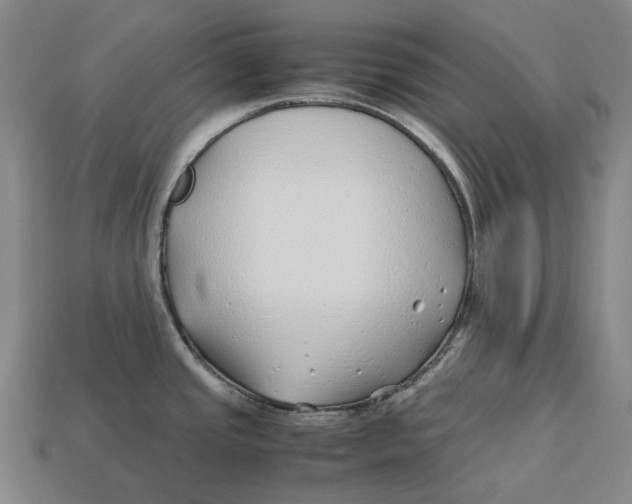 X0000113091437200909251001