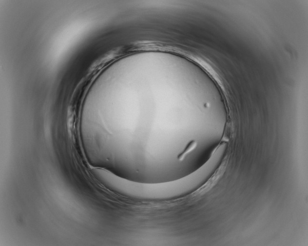 X0000113091438200909251001