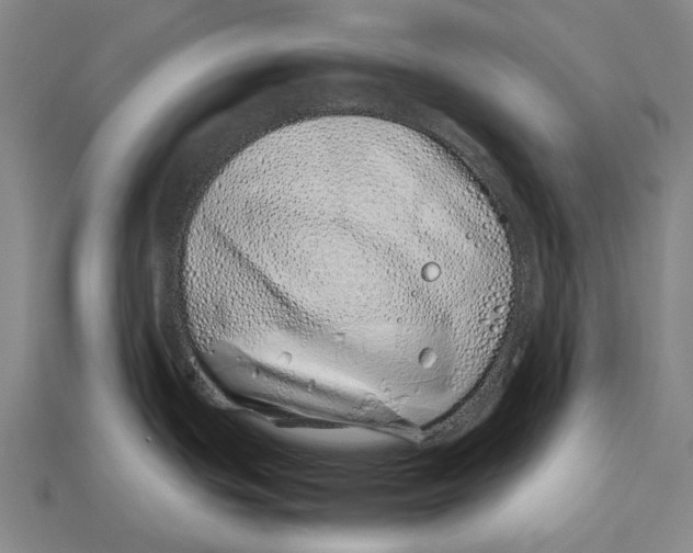 X0000113091439200909251001