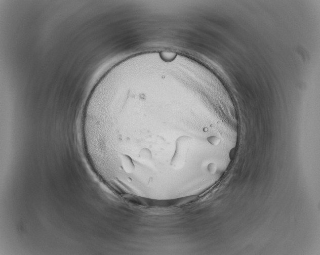 X0000113091440200909251001