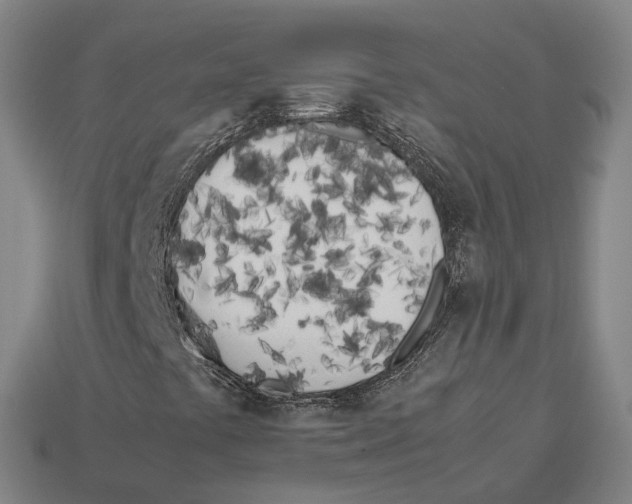 X0000113091441200909251000