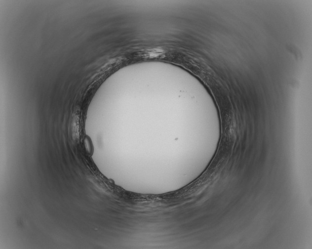 X0000113091442200909251000