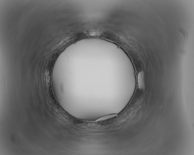 X0000113091443200909251000