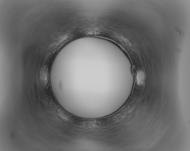 X0000113091444200909251000