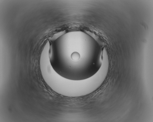 X0000113091445200909251000