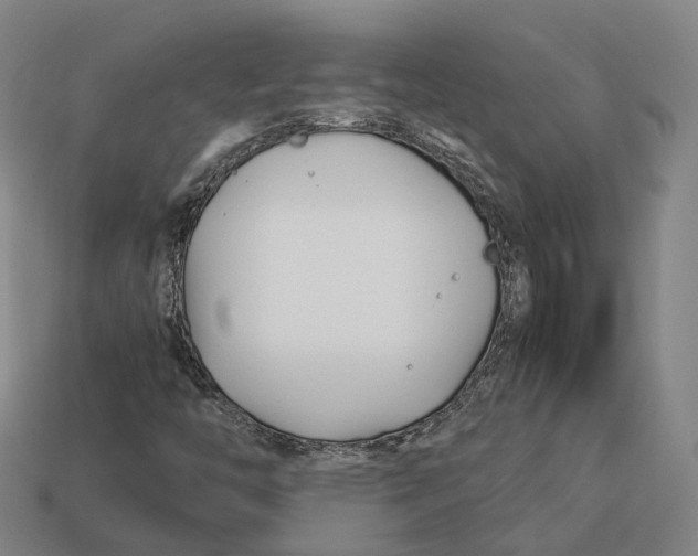 X0000113091446200909251000