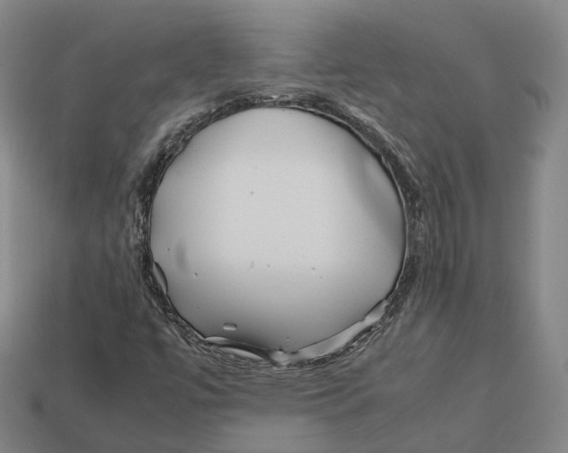 X0000113091447200909251000