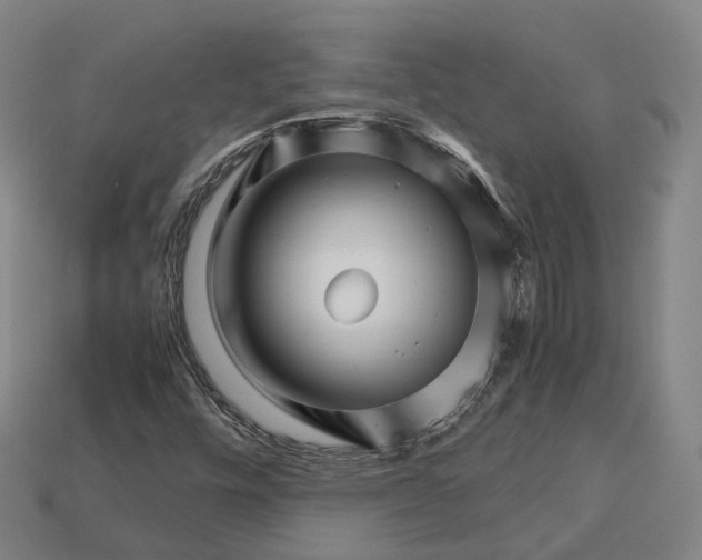 X0000113091448200909251000