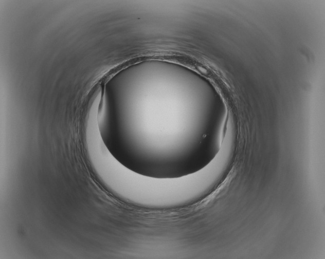 X0000113091449200909251000