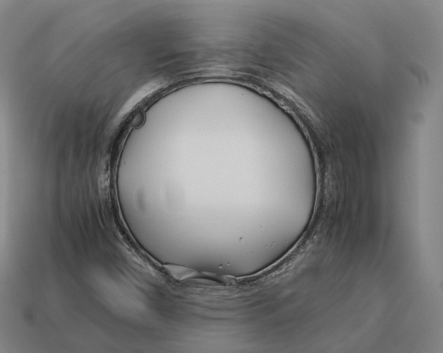 X0000113091450200909251000