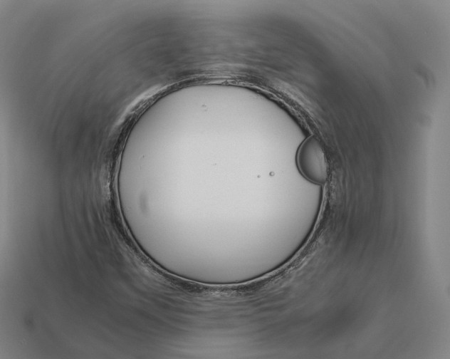 X0000113091451200909251000