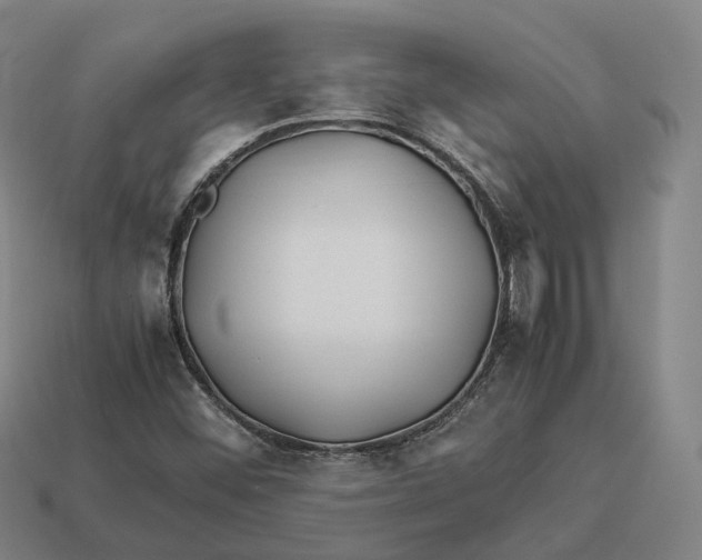 X0000113091452200909251000