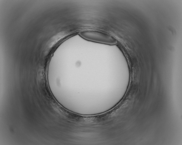 X0000113091453200909251000