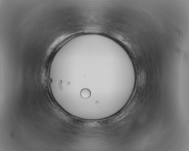 X0000113091454200909251000