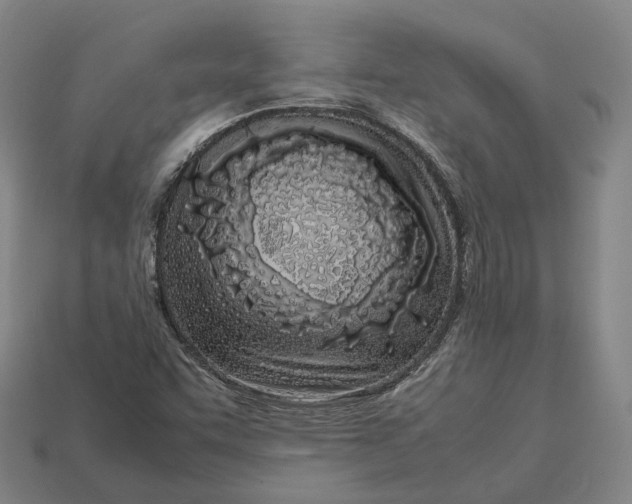 X0000113091455200909251000