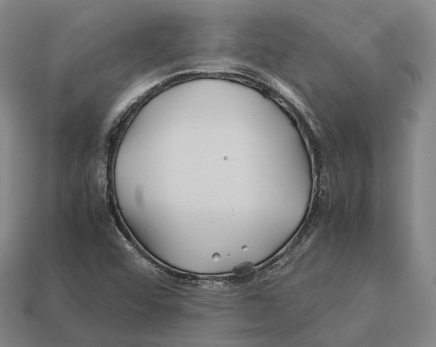 X0000113091456200909251000