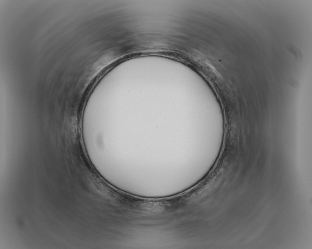 X0000113091457200909251000