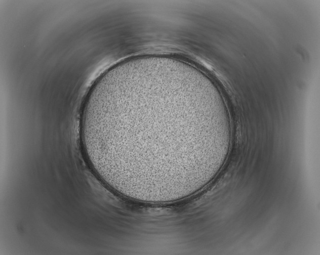 X0000113091459200909251000