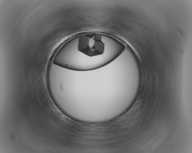 X0000113091460200909251000