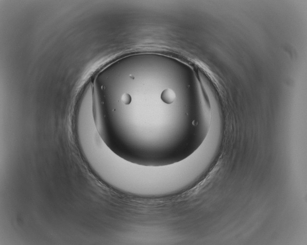 X0000113091461200909251000