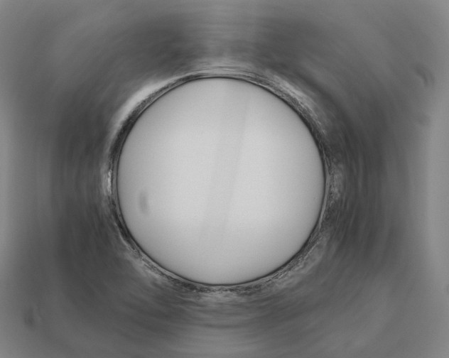 X0000113091462200909251000