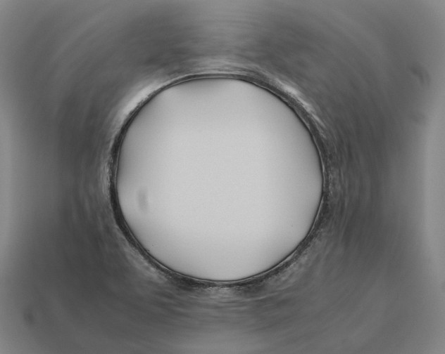 X0000113091463200909251000