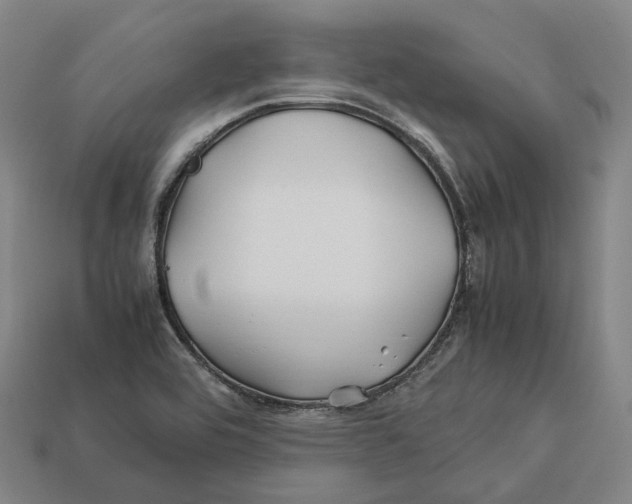 X0000113091464200909251000