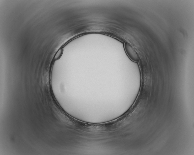 X0000113091465200909251000