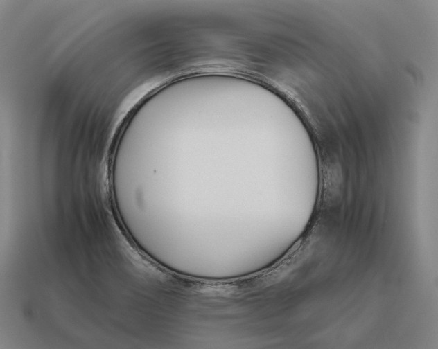 X0000113091466200909251000