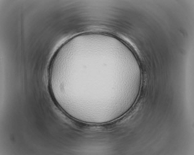 X0000113091467200909251000