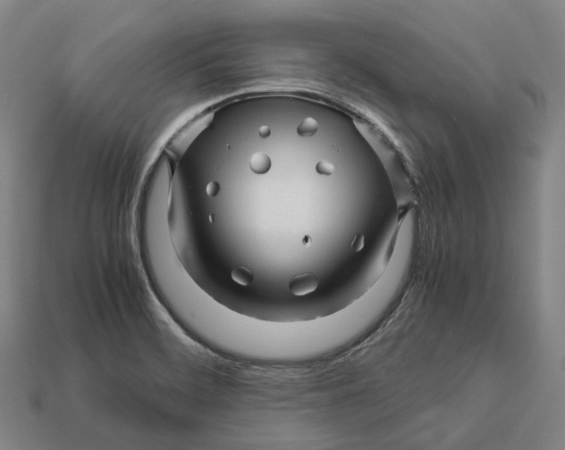 X0000113091468200909251000