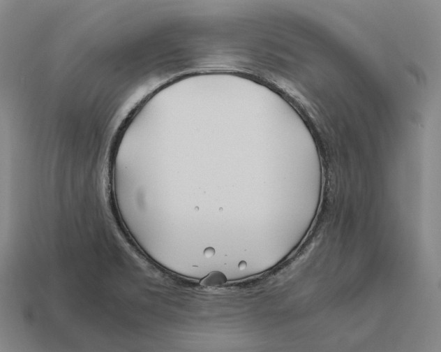 X0000113091469200909251000