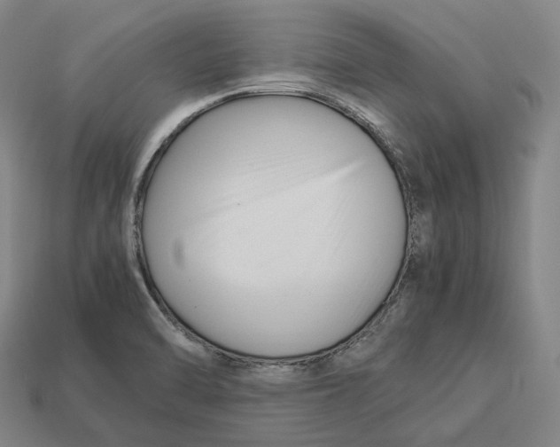 X0000113091470200909251000