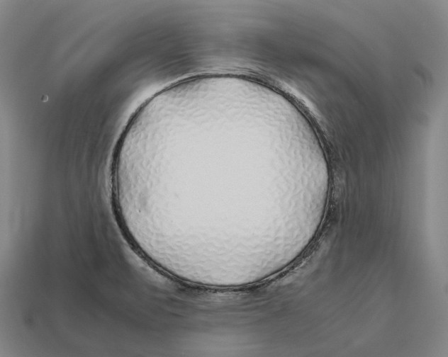 X0000113091471200909251000