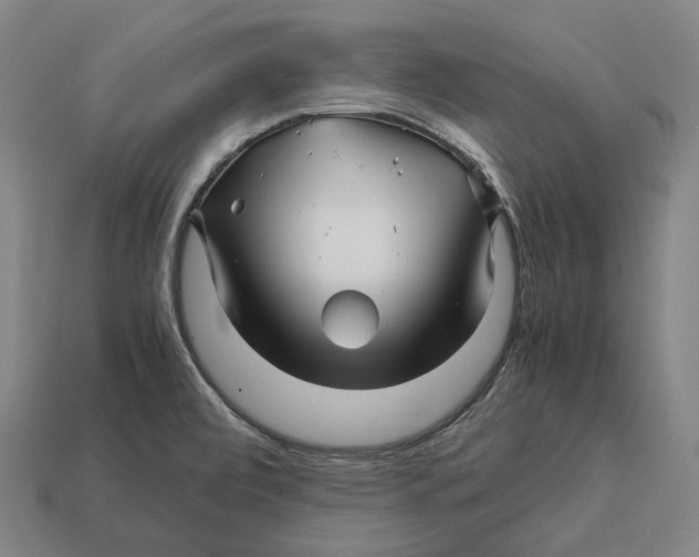 X0000113091472200909251000