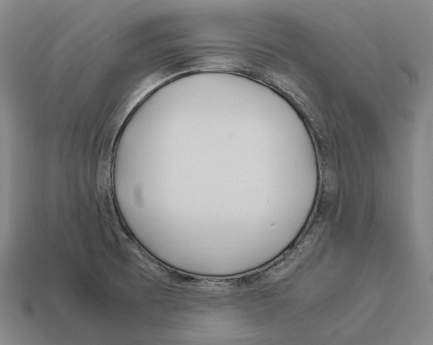 X0000113091473200909251000