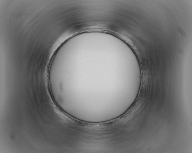 X0000113091474200909251000