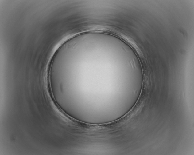 X0000113091475200909251000