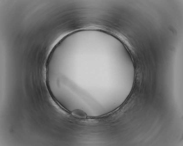 X0000113091476200909251000