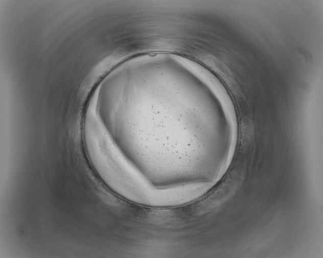 X0000113091477200909251000