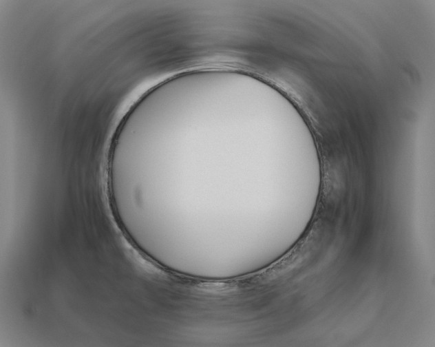 X0000113091478200909251000