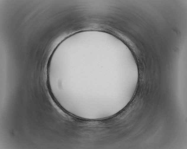 X0000113091479200909251000