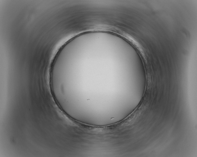 X0000113091480200909251000