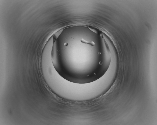 X0000113091481200909251000