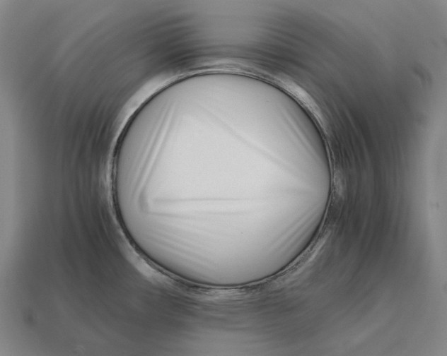 X0000113091482200909251000