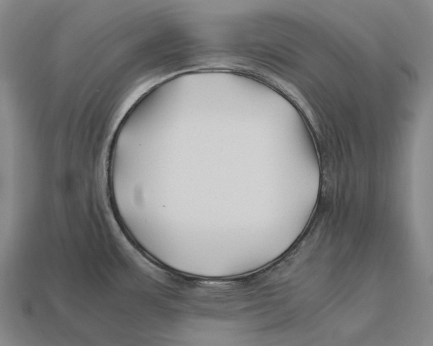 X0000113091483200909251000