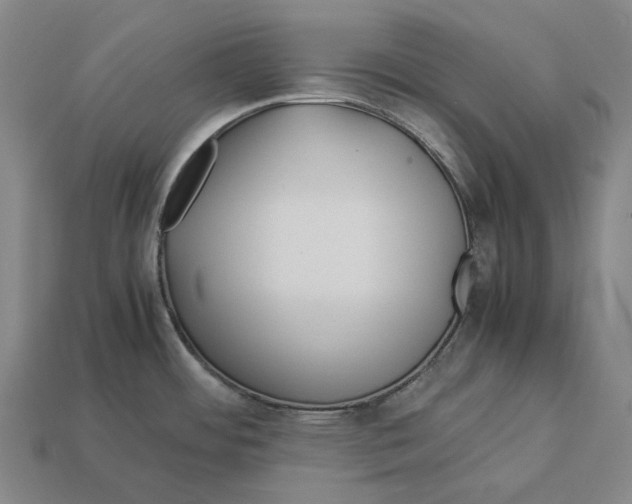 X0000113091484200909251000