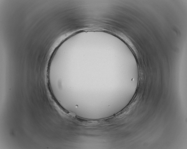 X0000113091485200909251000