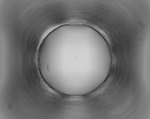 X0000113091486200909250959